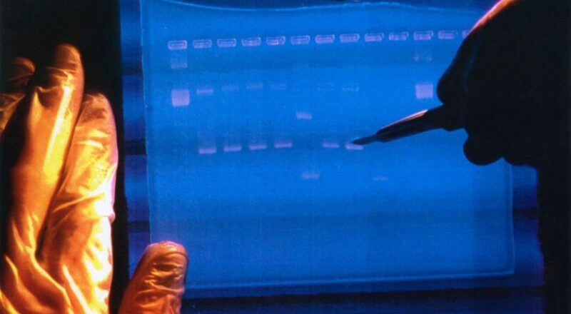 dna’lar-yeniden-kodlanacak:-laboratuvarda-“insan-uretimi”-basliyor!