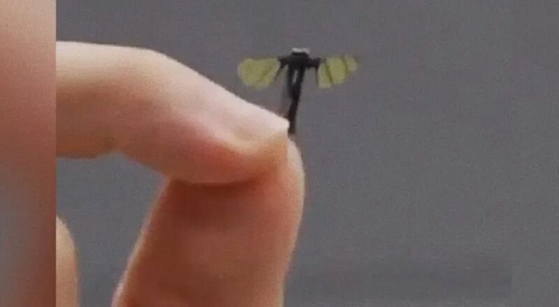 nano-teknolojide-devrim:-cin-ordusu,-sinek-buyuklugunde-drone-uretti