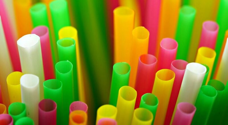 bakteriler-plastikten-agri-kesici-uretti